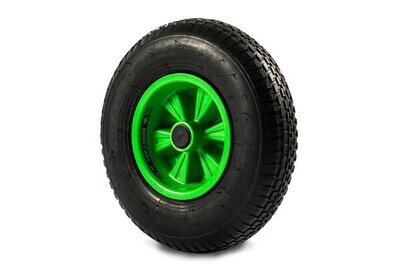 Dino Wheel in 5 Colour Choices