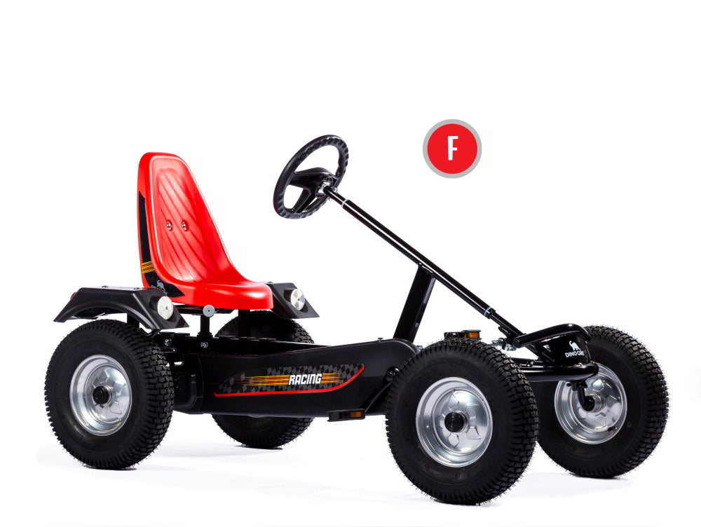 Dino Sport F Professional
