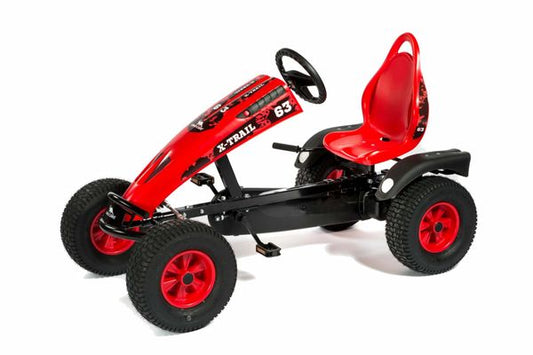 Dino Editions X Trail BF1