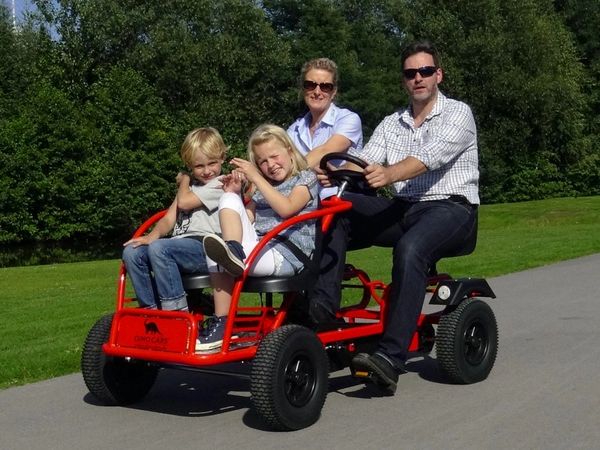 Dino 4 Seater Train F