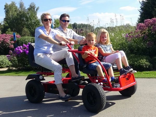 Dino 4 Seater Train F