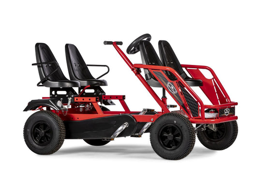 Dino 4 Seater Train F