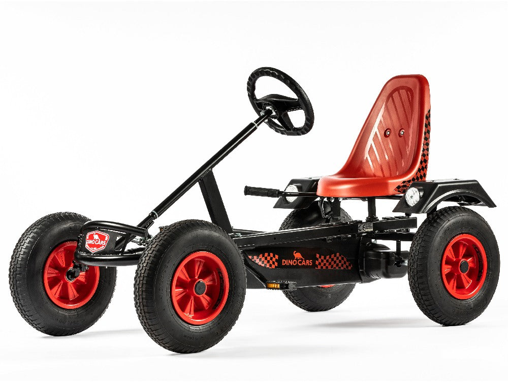 Dino Sport ZF