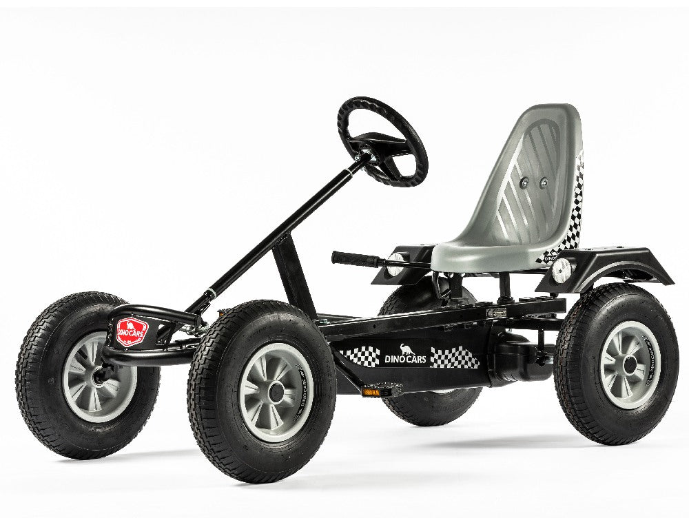 Dino Sport ZF