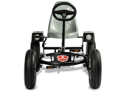 Dino Sport ZF